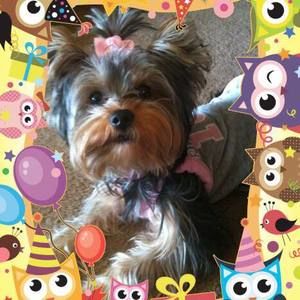 Meet your Posher, Cassandra